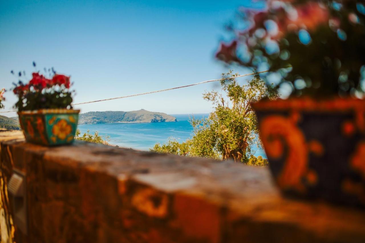 カプリオーリ Residenza Golfo Degli Uliviアパートホテル エクステリア 写真